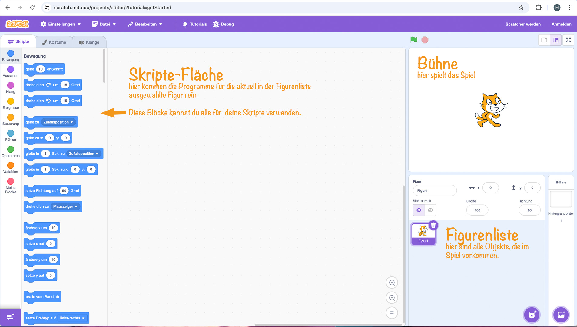 Blick auf die Scratch‑Oberfläche